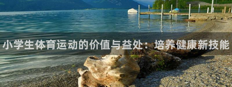 公海赌赌船官方正版app娱乐首页官网下载:小学生体育运动的价