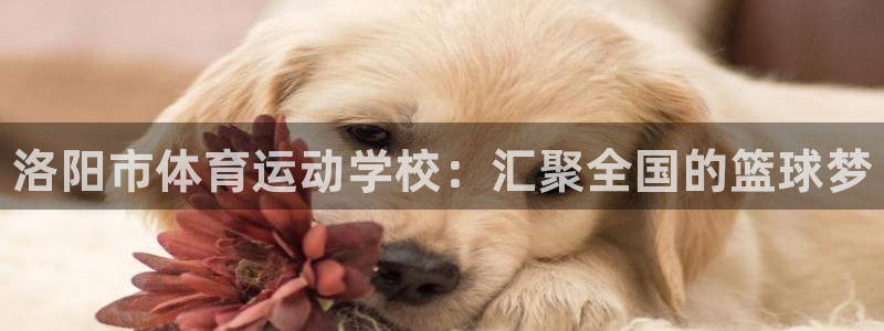 公海赌赌船官网下载平台注册要钱吗:洛阳市体育运动学校:汇聚全