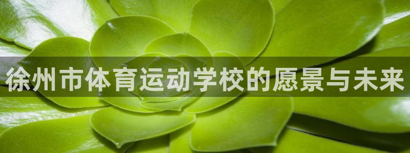 注册公海赌赌船官方正版app:徐州市体育运动学校的愿景与未来
