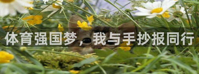 公海赌赌船官网下载招商电话地址是多少:体育强国梦,我与手抄报