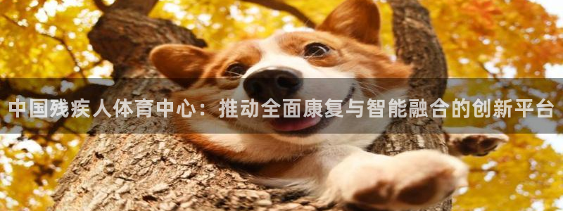 公海赌赌船官网下载是干嘛的公司:中国残疾人体育中心:推动全面