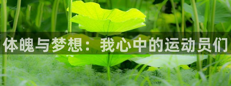 公海赌赌船官方正版app五金厂:体魄与梦想:我心中的运动员们