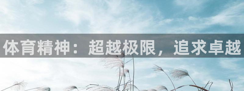 公海赌赌船官方正版app官方:体育精神:超越极限,追求卓越