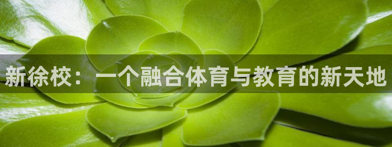 海南公海赌赌船官网下载:新徐校:一个融合体育与教育的新天地