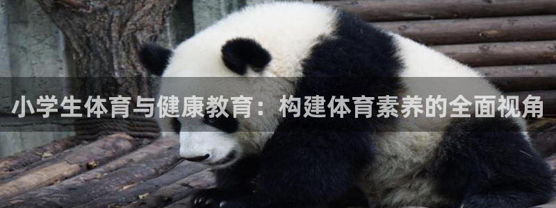 公海赌赌船官网下载开户:小学生体育与健康教育:构建体育素养的